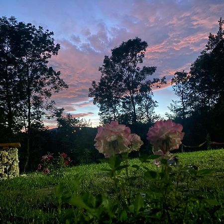 Casutele Din Poienita Villa คอมาร์นิค ภายนอก รูปภาพ